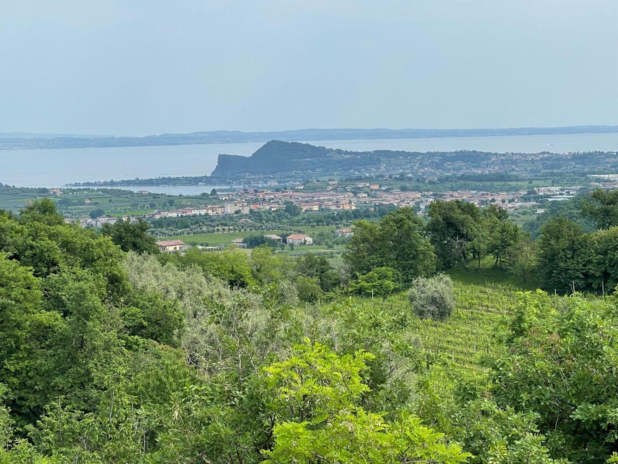 Villa Maria Apartments Moniga del Garda Ngoại thất bức ảnh